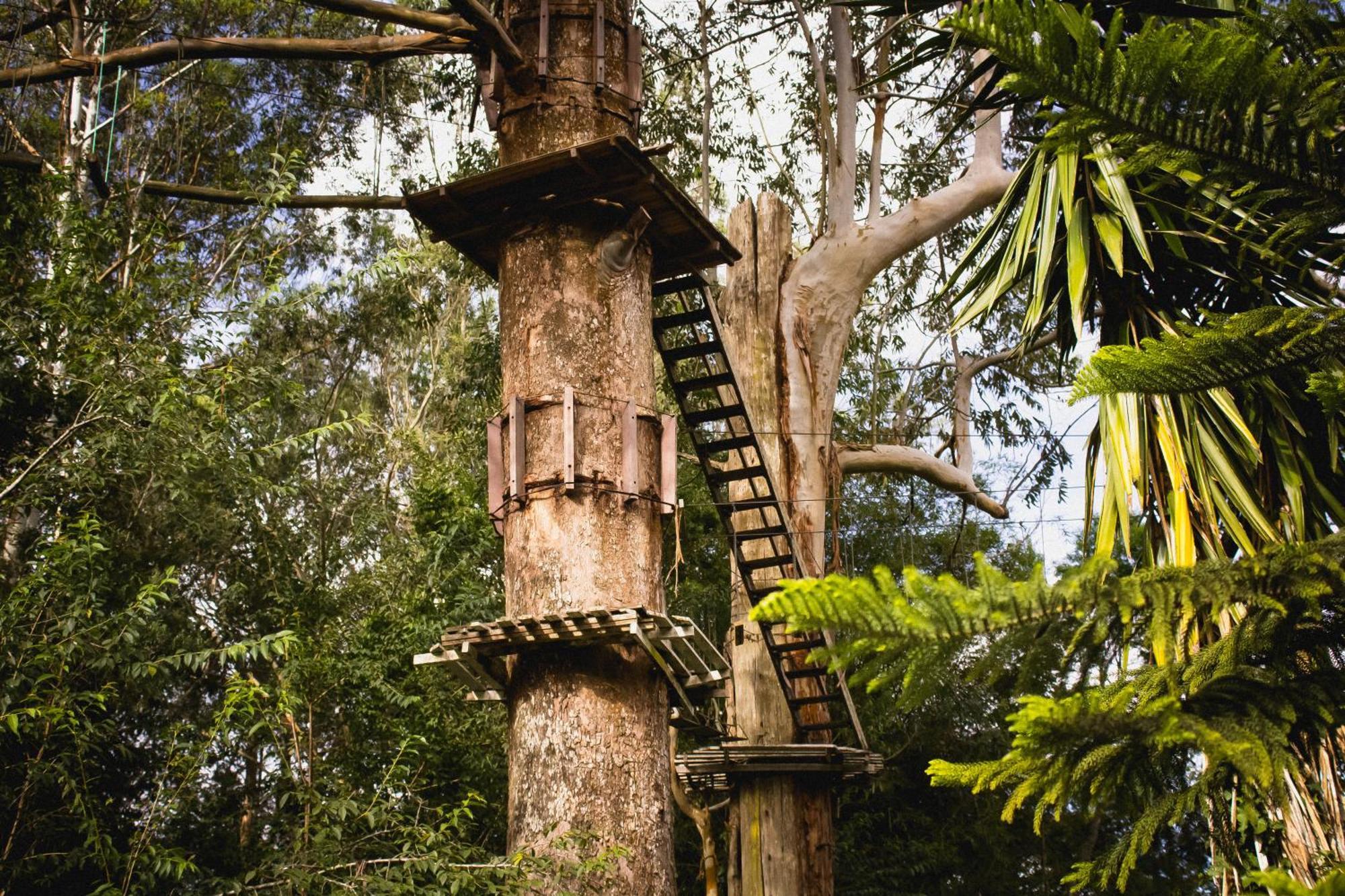 Hotel Fazenda Caledonia Inn Nova Friburgo Exteriér fotografie